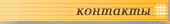 авто контакты
